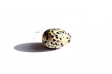 Dalmation Stone Yoni Egg - The Glass Dildo @ theglassdildo.co.uk