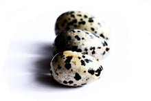 Dalmation Stone Yoni Egg - The Glass Dildo @ theglassdildo.co.uk