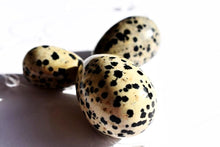 Dalmation Stone Yoni Egg - The Glass Dildo @ theglassdildo.co.uk