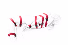 The Full Body Restraint - The Glass Dildo @ theglassdildo.co.uk