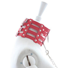 The Full Spectrum Slave Collar - The Glass Dildo @ theglassdildo.co.uk