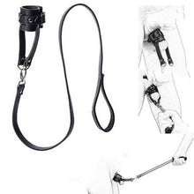 Come Along With Me - The Glass Dildo @ theglassdildo.co.uk