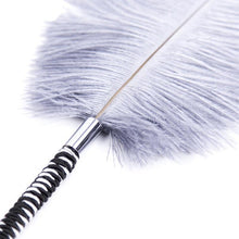 The Bird Feather Tickler - The Glass Dildo @ theglassdildo.co.uk